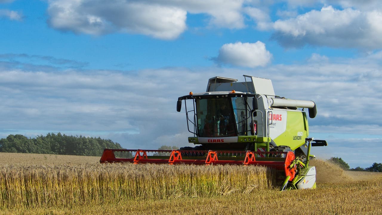 ue-cultivare Politică