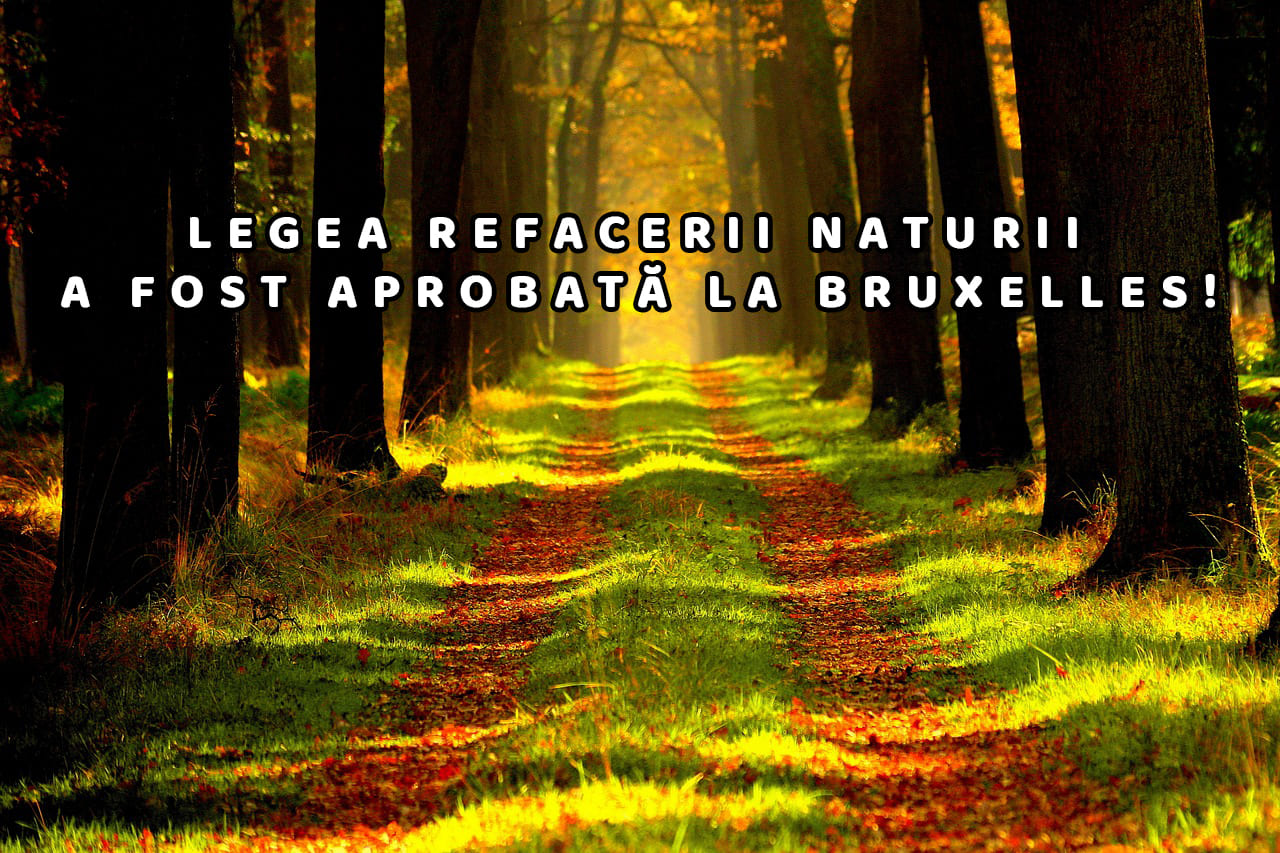 LEGEA-NATURA Politică