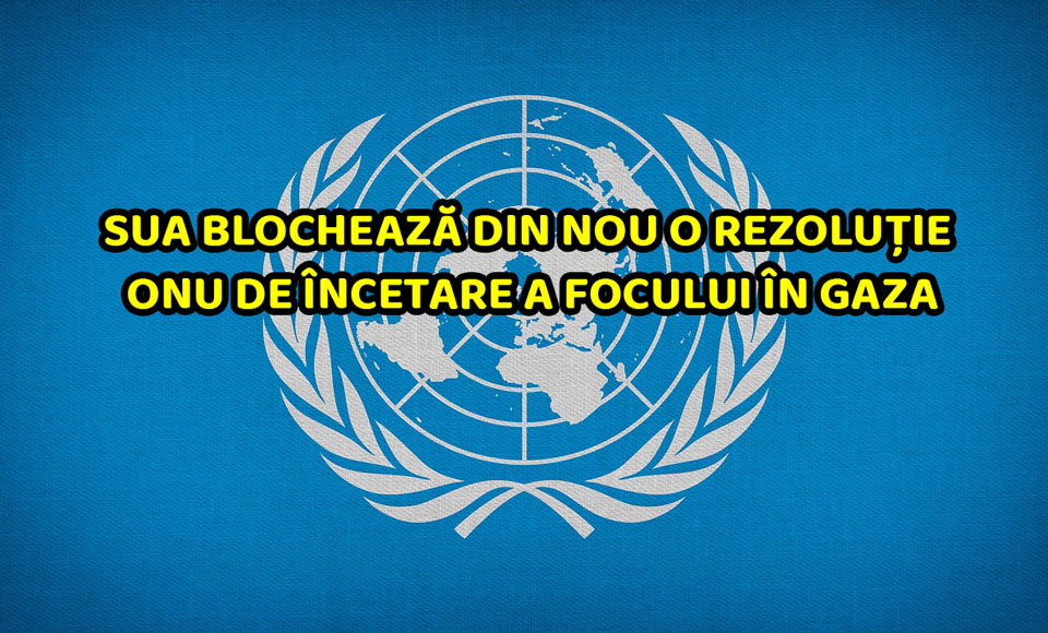 sua-onu Geopolitică