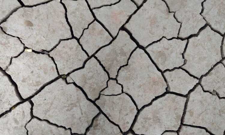 cutremur_medium DIVERSE