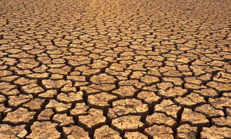 lacuri_medium DIVERSE