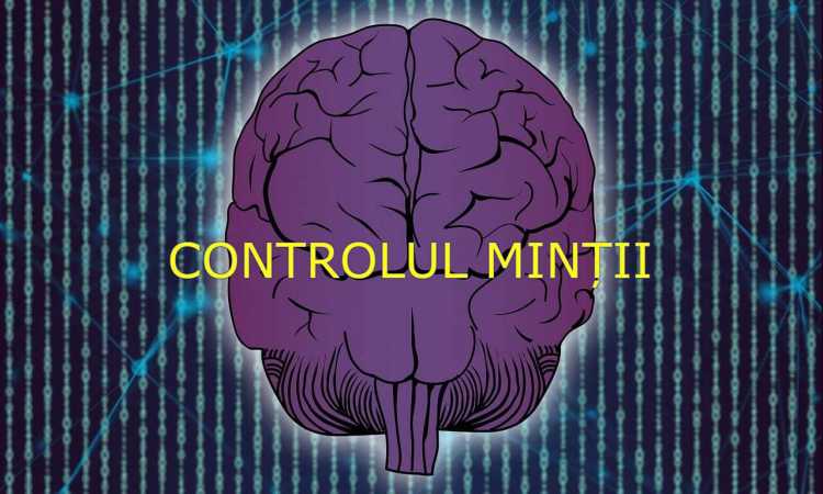 CONTROLUL-MINTII_medium DIVERSE