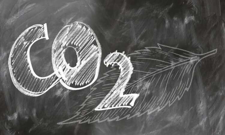 co2-fanatici_medium DIVERSE