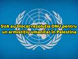 sua-onu_small Geopolitică