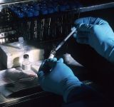 1280px-Vaccine_small Știri Externe