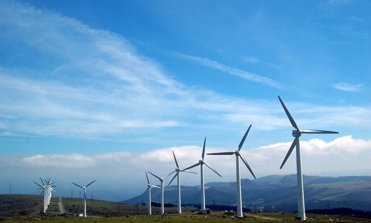 eoliene_medium Știri Externe