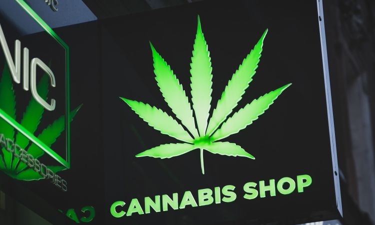 canabis1_medium Știri Externe