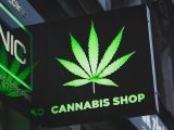 canabis1_small Știri Externe