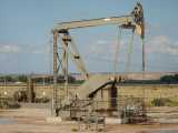 petrol_small Știri Externe