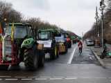 protest_small Economie