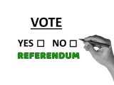 referendum_small Știri Externe