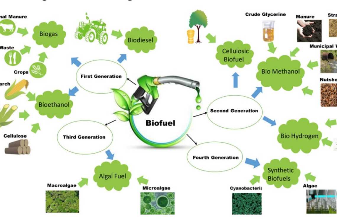 Sarpom începe producția unui nou biocombustibil care reduce emisiile de CO2 cu 90%!