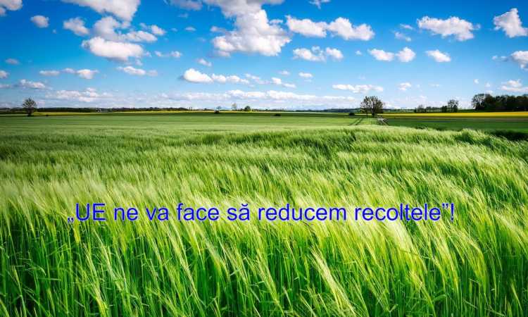 reducerea-recoltelor_medium Economie