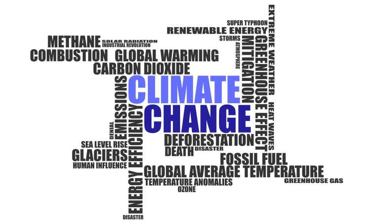 schimbari-climatice_medium Economie