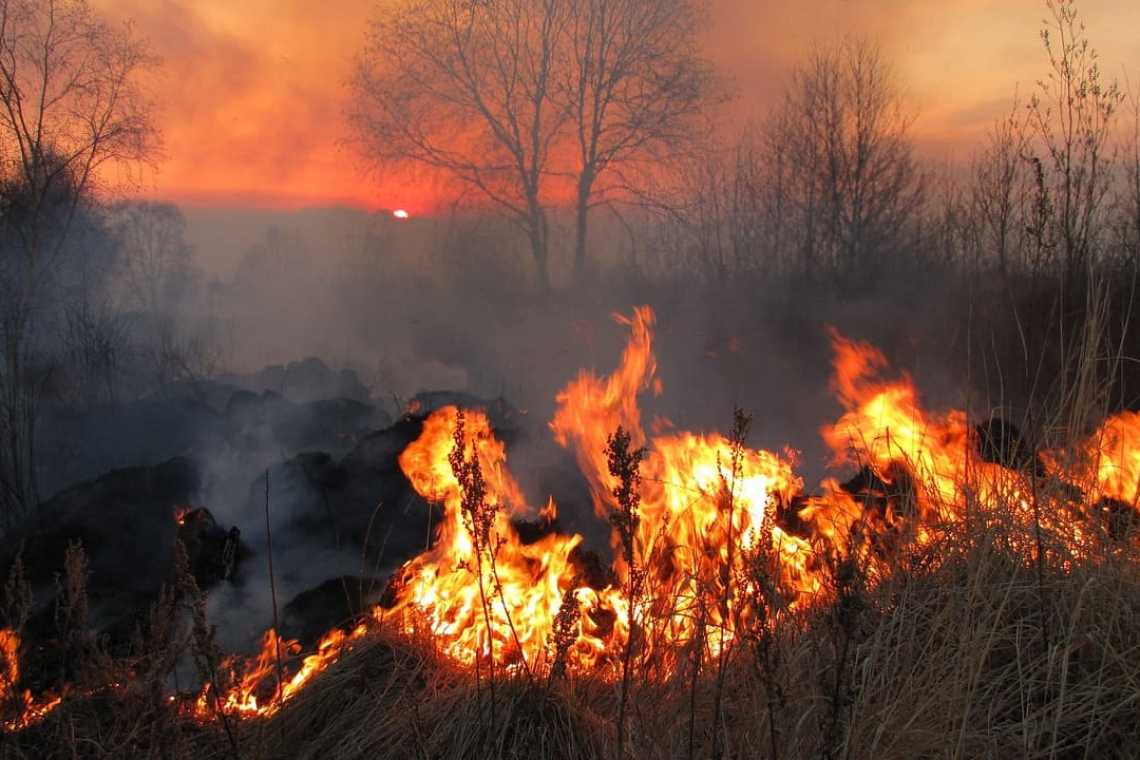 GRECIA: Incendiile devastează Rodos, 30.000 de turiști evacuați!